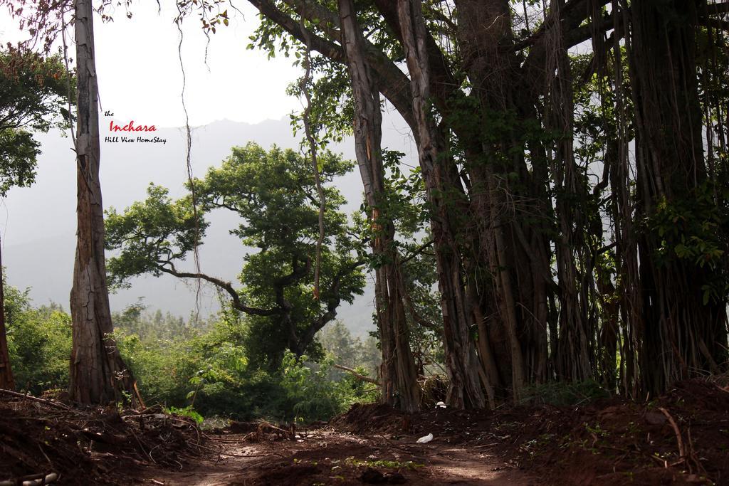 The Inchara Hill View Homestay Chikmagalūr Buitenkant foto