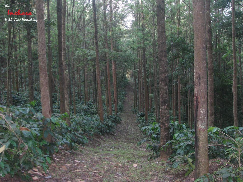 The Inchara Hill View Homestay Chikmagalūr Buitenkant foto